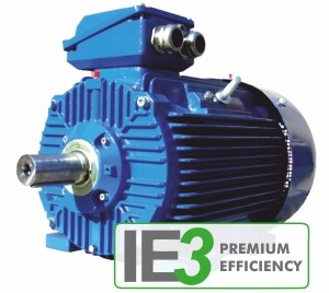 Трехфазные двигатели IE3 Premium Efficiency серия 3SIE Cantoni 