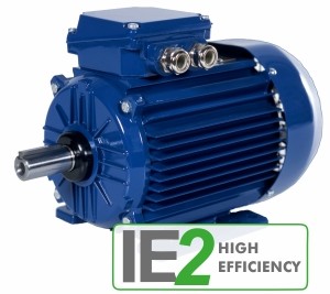 Трехфазные двигатели IE2 High Efficiency серия 2SIE Cantoni